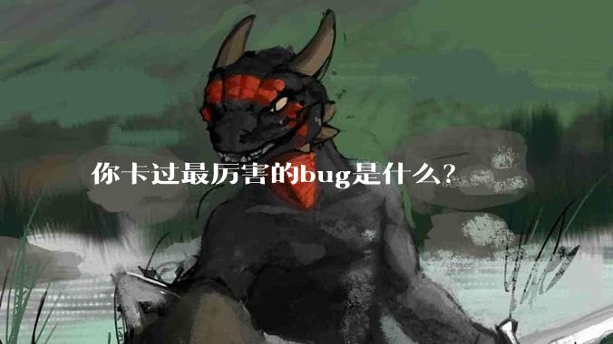 你卡过最厉害的bug是什么？